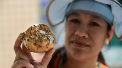 Da Zeng, one of Taiwan's 'sweet potato mamas,' in Taipei. Courtesy Ronan O'Connell