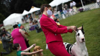 Logan Yankowski of Houston, Texas, poses with her great dane, Logan. Reuters