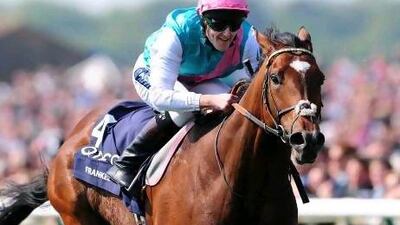 There is no telling when jockey Tom Queally will climb aboard Frankel again to race, or for that matter if the horse will ever race again.