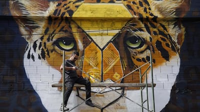 Colombian artist “Franco” works on a mural in Bogota, Colombia. Local and foreign artists were invited to paint the public areas of the Santa Fe neighbourhood, as part of the city’s International Festival of Urban Art Revitalization. Fernando Vergara / AP photo