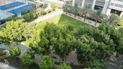 The home comes with lush green views of the neighbourhood's park
