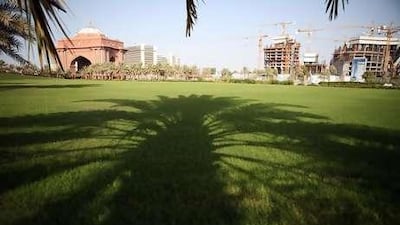Trees will be used to cool Abu Dhabi as part of a plan to reduce temperatures in the downtown area.