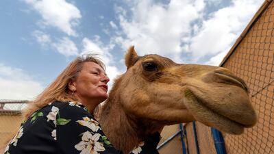 “I have always loved animals,” Viviane Paturel-Mazot says. “But since I arrived in the UAE almost 11 years ago, I’ve really come to have a passion for camels." Chris Whiteoak / The National