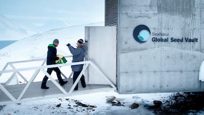 A man carries one of the newly arrived boxes containing seeds from Japan and USA into the international gene bank Svalbard Global Seed Vault (SGSV) on February 25, 2020. AFP
