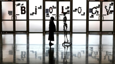 3. SKELETON: Someone you know? A pupil at Repton School Dubai looks at an exhibit during the celebration of the school's 10th anniversary in October 2017. Chris Whiteoak / The National
