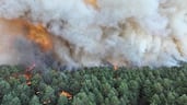 A fire in Fontainebleau forest in Noisy-sur-Ecole, France. EPA