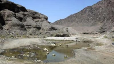 A wadi in Fujairah near Masafi. Non-native terrapins and pet fish, including tilapia, have been found breeding in the wadis, mainly in Fujairah.