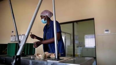 Fhatuwani Maguvha removes seeds from a baobab fruit AFP