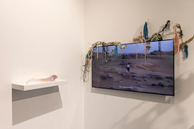 Sofya Skidan combines video, sculpture and digital elements in a work exploring ecological transformation and imagined future landscapes. Antonie Robertson / The National