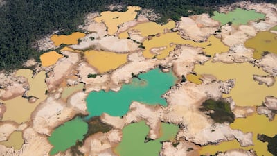 Many companies are hesitant to reveal the amount of deforestation they cause. AFP/Cris BOURONCLE