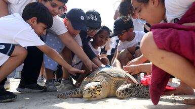 A turtle release event held in Abu Dhabi. The emirate is aiming to strengthen biodiversity in the face of climate change. Chris Whiteoak / The National