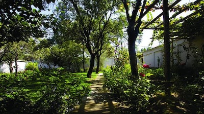 Jolyon Leslie's garden in Kabul. Lalage Snow