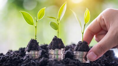 Greenwashing is going to be more scrutinised as we head into 2030, analysts say. Getty