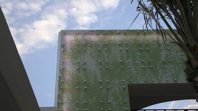 The newly redesigned Mushrif Central Park took seven years of planning and three years to build. Silvia Razgova / The National