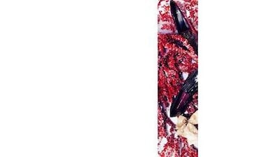 Photo by Tina Chang for The National, styling by Nadia El Dasher / The National