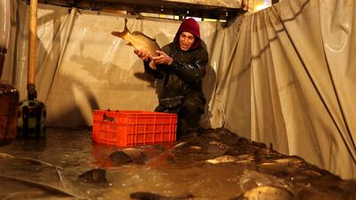 An Iraqi vendor shows a fish to customers at the fish market in Najaf