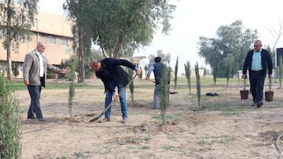 Iraqi volunteers plant trees. AFP