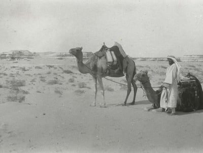 An image of the cliffs of Jaub Al Judairat, taken to illustrate a paper by Harry St John Philby. Getty Images