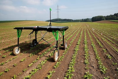 The ecoRobotix robot weeder.