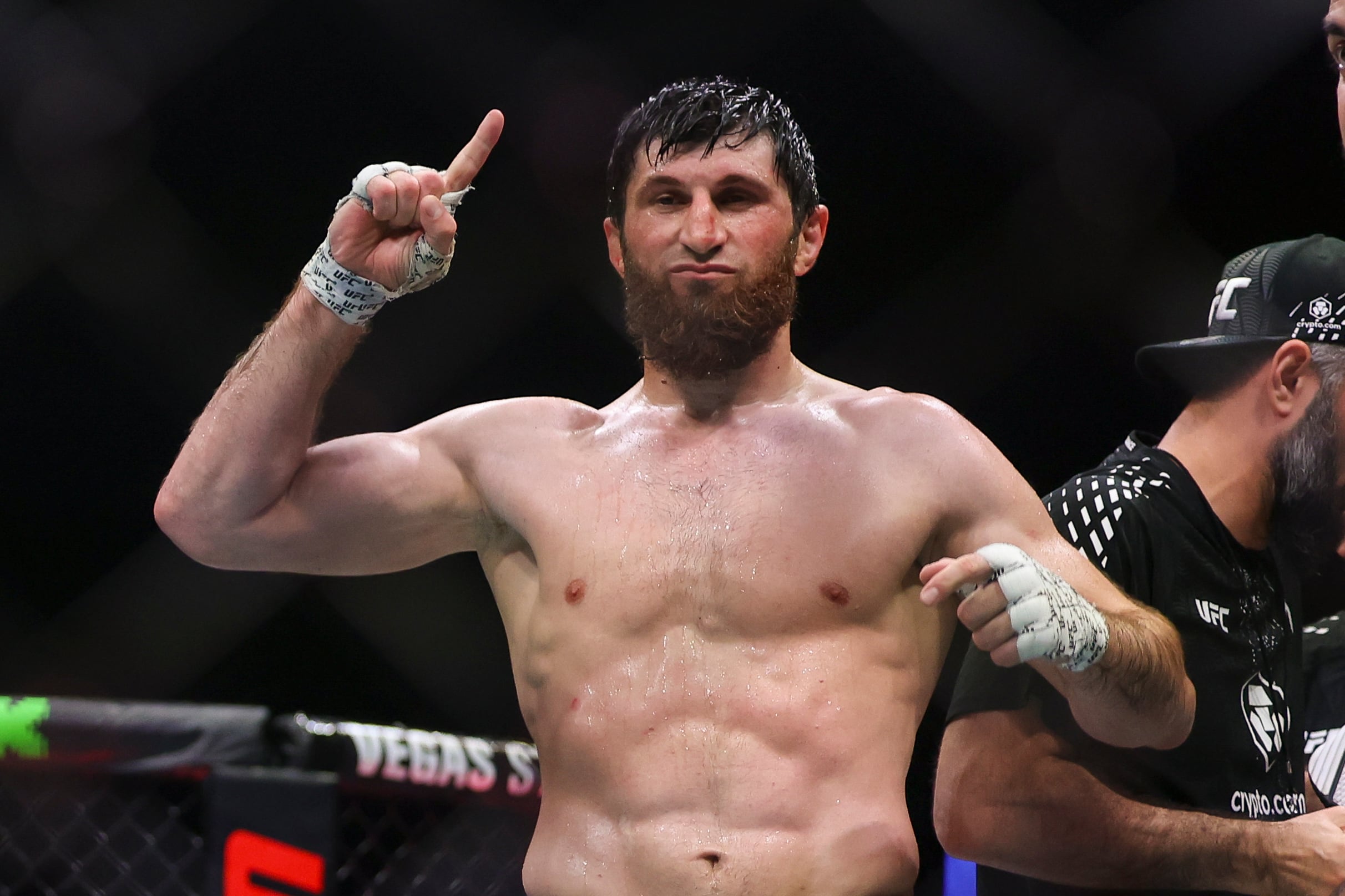 Image linked from the original feed: Magomed Ankalaev dominates and stops Bogdan Guskov at UFC Abu Dhabi