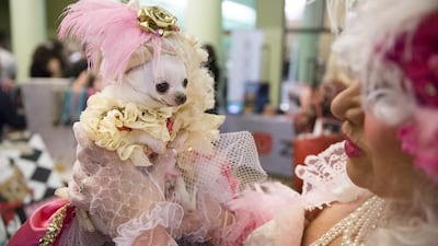A costumed dog and her owner attend the 2014 New York Pet Fashion Show. Eric Thayer / Reuters