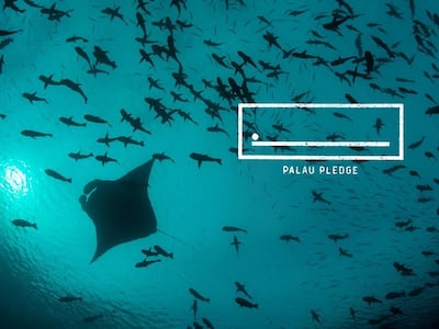 The Palau Pledge made Palau the first country in the world to change its immigration laws to protect its natural environment. Courtesy The Palau Pledge