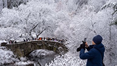 Seasonal snowfall in Central Park, New York City. AP