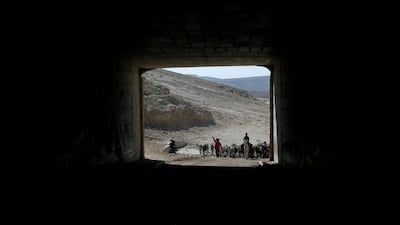 Palestinian children herd animals in the Bedouin village of Khan Al Ahmar in the occupied West Bank. Mohamad Torokman / Reuters