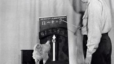 Which came first, the chicken or the ability to perform basic mathematical functions?