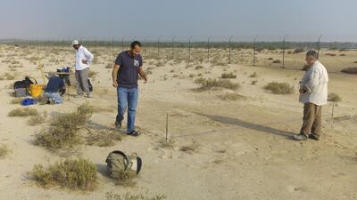 Archaeologists including Dr Mark Beech set up at site B. The site is on the eastern part of the island, facing the mangroves. Courtesy Dr Robert Parthesius