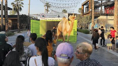 People taking photos with 3D art work by Frederike Wouters at the Dubai Canvas held at La Mer in Dubai. Pawan Singh / The National