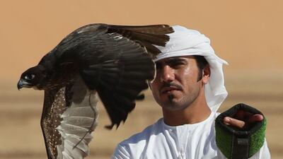 An Emirati falconer trains his bird during the Liwa Moreeb Dune Festival.