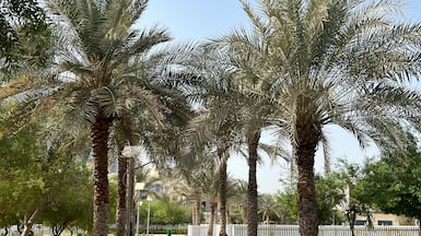 The project aims to expand landscaped and green areas across the emirate. Chris Whiteoak / The National
