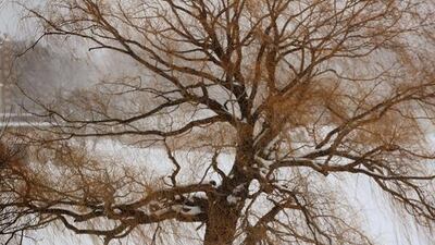 A boy carries a sled in Humboldt Park in Chicago, Illinois. The Chicago area has been getting snowed on for the past three days with some suburban areas getting hit with more than 16 inches. Scott Olson/Getty Images/AFP