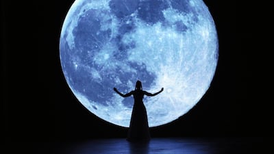 A model walks the runway at the Dany Tabet show. Stuart C. Wilson / Getty Images for Fashion Forward