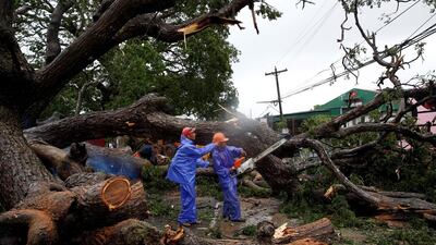 Government workers cut branches of an uprooted tree along a road after Typhoon Haima struck Laoag city, Ilocos Norte in northern Philippines. Erik De Castro / Reuters