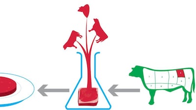 The production of the first lab-grown hamburger could have consequences for animal welfare as well as the future of our growing population's diet and conscience. Illustration by Mathew Kurian
