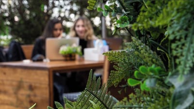 Counter Culture cafe is good for co-working hangs with colleagues, and catch-ups with friends. Photo: Instagram / @counterculturedxb