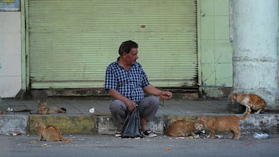 A man feeds cats while sitting near shops in Baghdad, Iraq. AP Photo