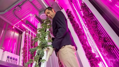 Despite the circumstances, industries such as e-Commerce, digital health, the future of work, AgriTech, FinTech or EdTech are presently witnessing record levels of growth, and are predicted to continue on this trajectory for the foreseeable future, writes Noor Sweid. Antonie Robertson / The National