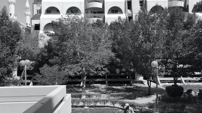 Tarek Al Ghoussein_Al Sawaber 6332_2015-2017_Digital print_30 x 40cm. Tarek Al-Ghoussein / The Third Line