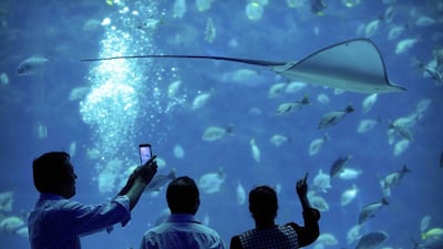 People watch marine life at the indoor ocean park aquarium at Wanda Mall. Mark Schiefelbein / AP