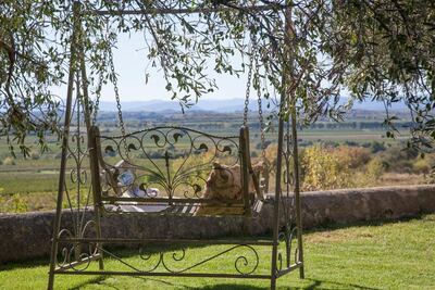 This vintage swing seat was bought by Katie Jackson for just €200. Courtesy Katie Jackson