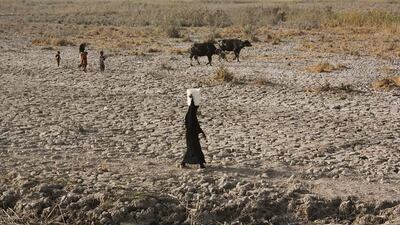 The wetlands are suffering an acute lack of water mainly from the Tigris and Euphrates. Photo: Jassim Al Asadi