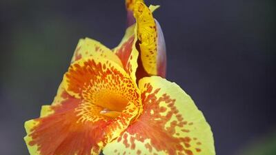 The 14-hectare park replaces the old, women-and-children-only park that was first built in 1982. Silvia Razgova / The National