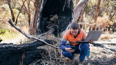 Scientists want to bring AI and modern data methods together to save the planet. Getty Images