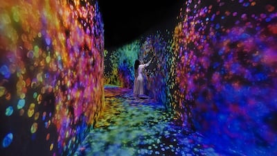 Artwork on the corridor's walls responds to touch. Photo: teamLab Phenomena Abu Dhabi