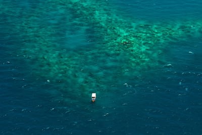 Saudi Arabia's Red Sea coastline is an archipelago of sand dusted islands and diverse marine life.