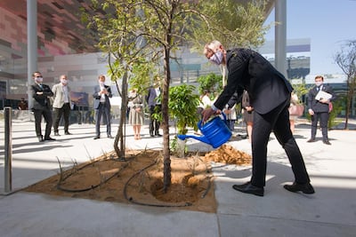 An acacia tree is planted to mark the completion of the French pavilion at the Expo 2020 Dubai site. Courtesy: France Pavilion