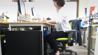 The boss of Ferray also offers Dh165 a month to members of staff who rescue cats.